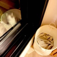 一体どういうこと！？カゴの中を思わず二度見･･･まるで“だまし絵”のような光景が話題に！