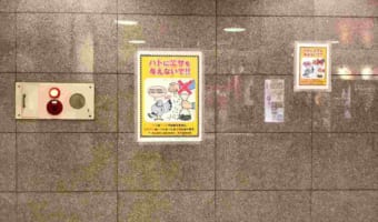 ハンパない哀愁が漂う1枚の写真が話題に！ハトのポスターの下に目を向けると･･･(涙)