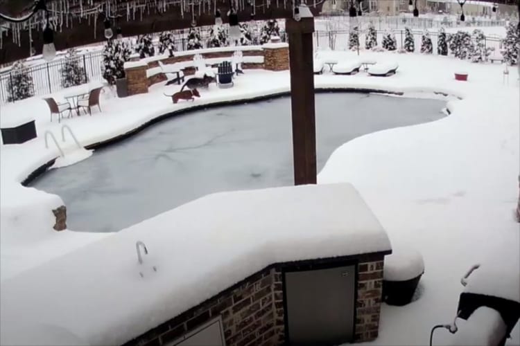 ワンコが凍ったプールに落ちて行方不明に！飼い主がプールに飛び込み必死の捜索を開始するも･･･