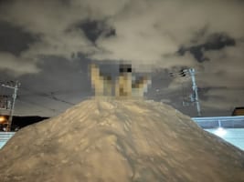 「映画のポスターかよ！(笑)」「勇者パーティな雰囲気」雪の上で佇むワンコたちが神々しい