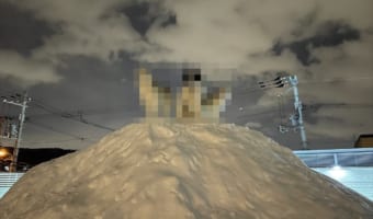 「映画のポスターかよ!(笑)」「勇者パーティな雰囲気」雪の上で佇むワンコたちが神々しい