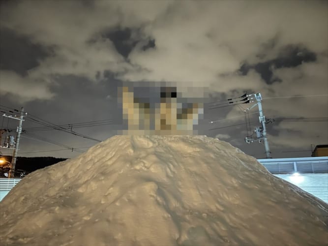 「映画のポスターかよ！(笑)」「勇者パーティな雰囲気」雪の上で佇むワンコたちが神々しい