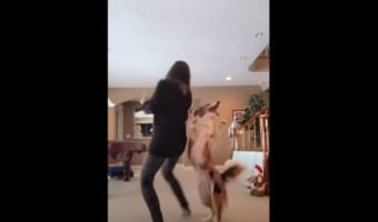 華麗なステップ!まさにダンスデュオ(笑) 飼い主さんと一緒に踊るワンコがめちゃ楽しそう!