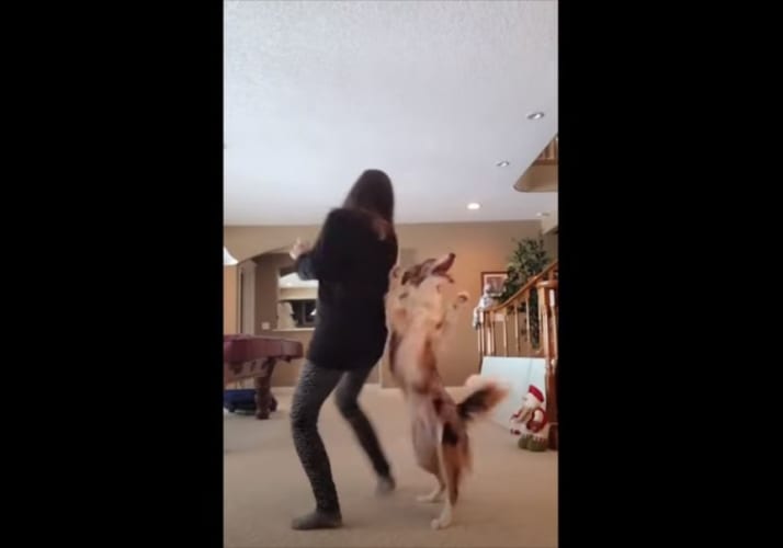 華麗なステップ！まさにダンスデュオ(笑) 飼い主さんと一緒に踊るワンコがめちゃ楽しそう！