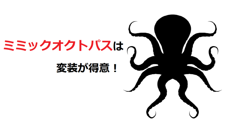 「ミミックオクトパス」は変装が得意！その対象は魚やウミヘビ、ヒトデまで！！