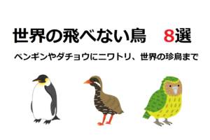 世界に！そして日本にも！実は種類が豊富な「飛べない鳥」8選