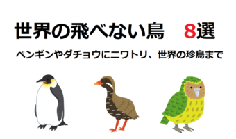 世界に!そして日本にも!実は種類が豊富な「飛べない鳥」8選