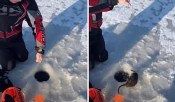 ウソ！？氷の下から釣れたのは魚じゃなくてネズミ！？こんな映像見たことない！