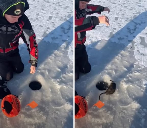 ウソ！？氷の下から釣れたのは魚じゃなくてネズミ！？こんな映像見たことない！