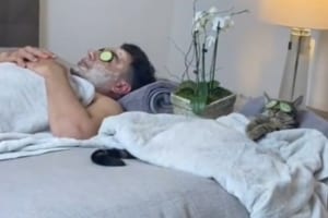 ふたりの仲は引き裂けない！妻から夫を奪った可愛い泥棒猫ちゃんの動画がTikTokで大人気に