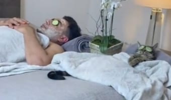 ふたりの仲は引き裂けない！妻から夫を奪った可愛い泥棒猫ちゃんの動画がTikTokで大人気に