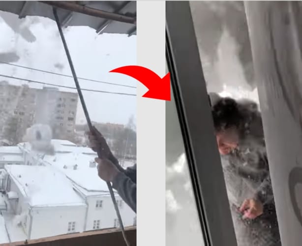 屋根の雪下ろしをする男性。この後とんでもない結末が...！