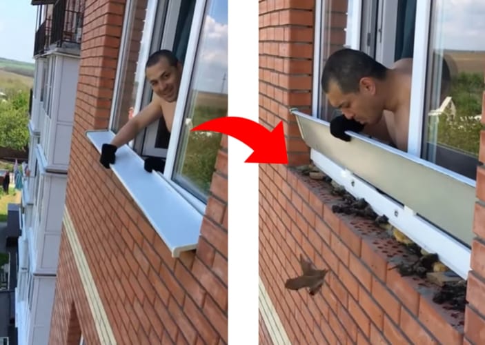 窓サッシの一部を外すと....そこから出て来たまさかの生物とは！？