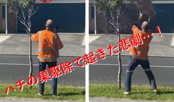 そうなると思った...ハチの巣を駆除しようとした男性に訪れた最悪の展開！