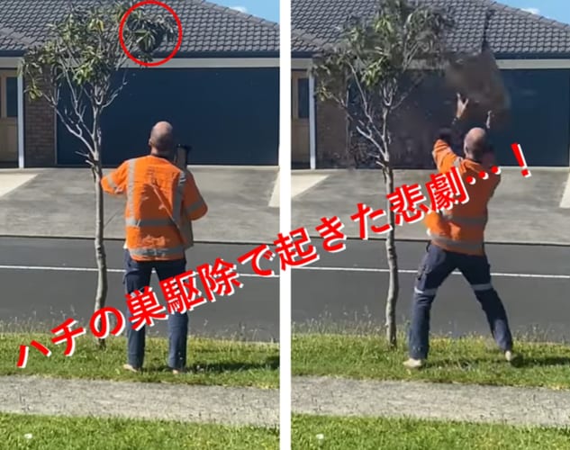 そうなると思った...ハチの巣を駆除しようとした男性に訪れた最悪の展開！