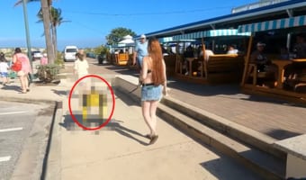愛犬とお散歩をしていただけで警察沙汰に!?衝撃の真相が凄い
