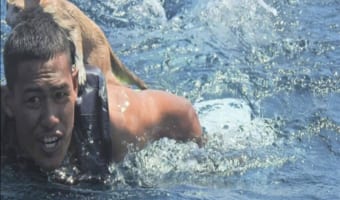 タイの海軍士官が沈みゆく船から子猫を救助!世界から称賛の嵐!