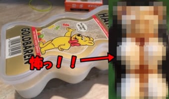 【恐怖】巨大ハリボー容器で作ったプリンにカラメルソースをかけたら・・・怖ーい結果に!