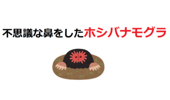 変わった鼻をした「ホシバナモグラ」、その鼻は実に高性能だった！
