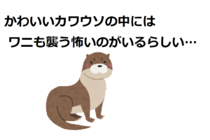 【オオカワウソ】カワウソはかわいいよね、と思ったら、ワニやジャガーも追い払う怖いカワウソがいた！
