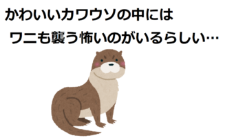 【オオカワウソ】カワウソはかわいいよね、と思ったら、ワニやジャガーも追い払う怖いカワウソがいた！