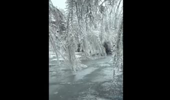 街の木々が“氷のシャンデリア”のよう・・・魔法の世界のような美しい光景が話題に!