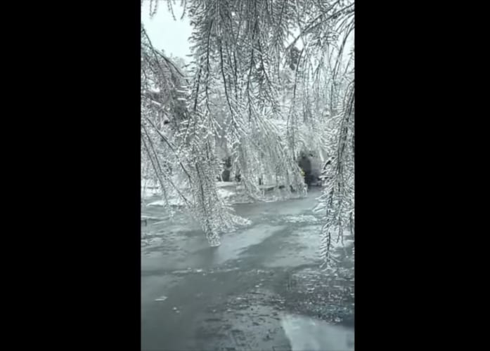 街の木々が“氷のシャンデリア”のよう･･･魔法の世界のような美しい光景が話題に！