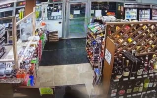 【驚愕】酒屋に巨大な動物が侵入しトンデモナイ事態に！訪れた客はその姿を見た瞬間に即退散！