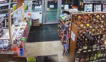 【驚愕】酒屋に巨大な動物が侵入しトンデモナイ事態に！訪れた客はその姿を見た瞬間に即退散！