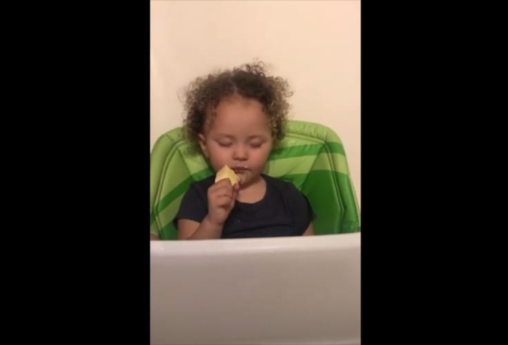 「眠いけど食べたい･･･」睡眠欲と食欲による一歩も譲らない戦いが面白い(笑)