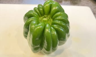 自分のことをカボチャと信じて疑わないピーマンが話題に!裏側も凄いことに・・・!?