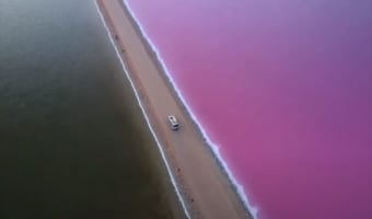 まるで“おとぎ話の世界”のようなピンク色の湖が美しい・・・なぜこんな色になるのか!?