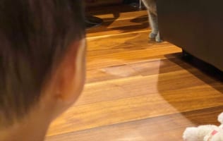 「アレは何？」はじめて猫を見た娘とはじめて娘を見た猫･･･運命を感じる瞬間！？に反響