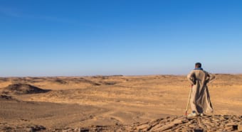 「ミイラ取りがミイラになる」とは？その語源や由来はある薬にあった