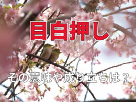 「目白押し」とはどんな意味？その由来は小鳥のかわいい姿から！