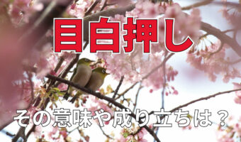 「目白押し」とはどんな意味？その由来は小鳥のかわいい姿から！
