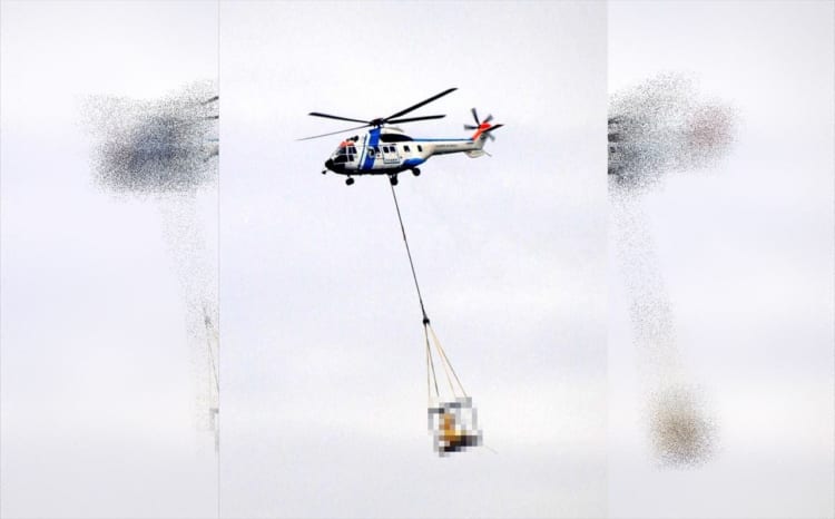 【激レアな光景】名古屋城「金のしゃちほこ」が空を飛ぶ光景が話題に！16年ぶりに地上へ