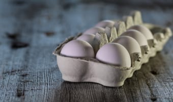 「卵」と「玉子」この表記に違いはあるの?使い分けは必要??