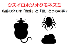 「ウスイロホソオクモネズミ」は、蜘蛛ではなく雲から名前が来たネズミ