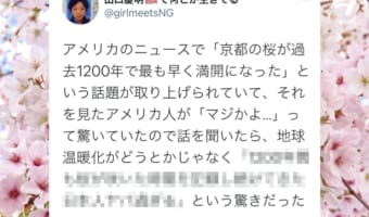 「桜が過去1200年で最も早く満開」のニュースに対するアメリカ人の反応が面白い!言われてみれば確かにそうだ!