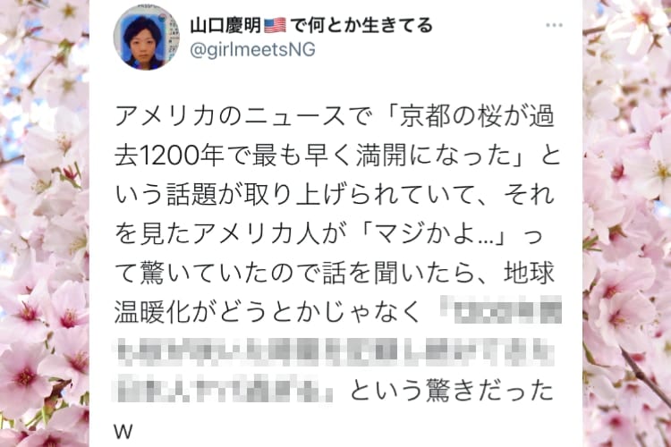 「桜が過去1200年で最も早く満開」のニュースに対するアメリカ人の反応が面白い！言われてみれば確かにそうだ！