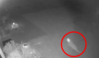 恐竜のような生物を防犯カメラが捉えた！真夜中に謎の生物がダッシュで横切る映像！