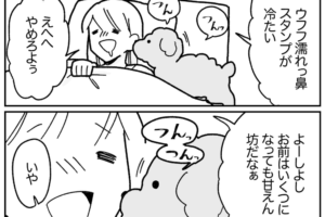 そういうことだったのね！添い寝中に愛犬が鼻でツンツンしてきた真相がかわいい