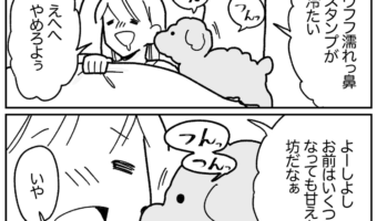 そういうことだったのね！添い寝中に愛犬が鼻でツンツンしてきた真相がかわいい