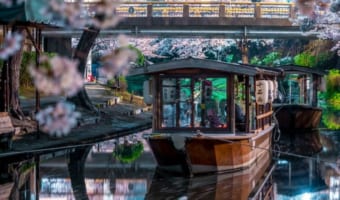静寂の夜を彩る水鏡と桜!京都・伏見十石舟の夜景写真が美しすぎて言葉を失う