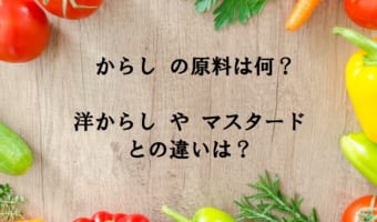 「からし」はなにを原料としているの?洋からしやマスタードとの違いは?