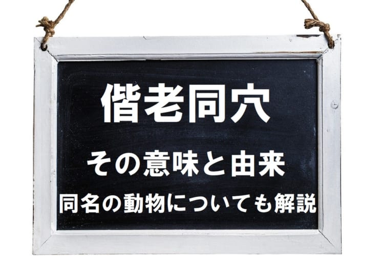 「偕老同穴」の意味や由来は？同名の海の生き物がいるって本当？