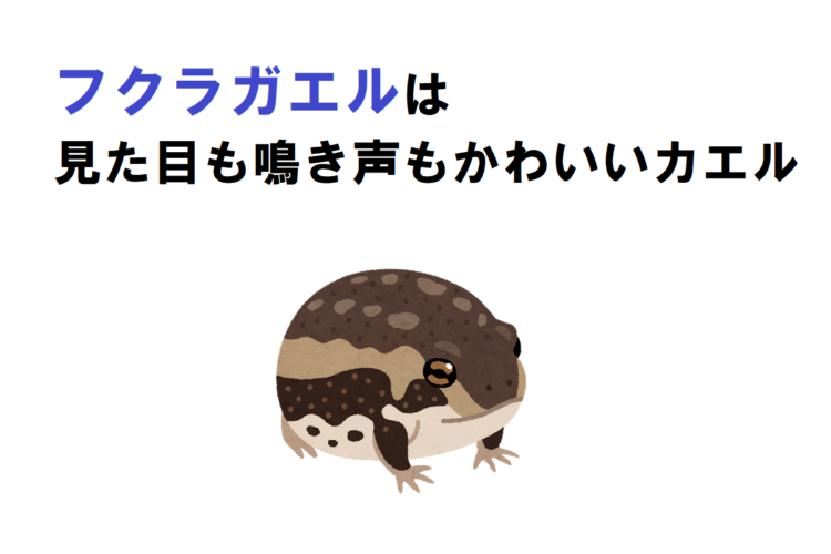 丸っこくてかわいい「フクラガエル」は、鳴き声もとてもかわいい！