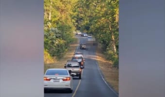 驚きの理由で道路が渋滞し、先頭の車が破壊されそうな事態に発展!一体何が起きた!?