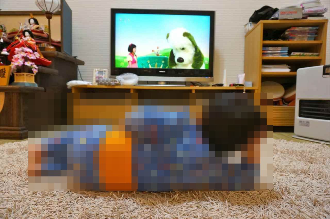 「こいつ絶対人生2周目・・・(笑)」テレビを見る2歳児の“休日のオッサン感”が凄まじいと話題!